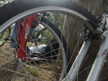 è stata un'uscita in bicicletta