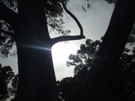 Il sole all'alba